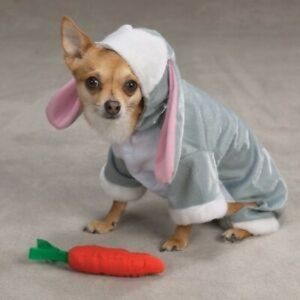 Bunny Rabbit Dog Halloween Costume, Size M
